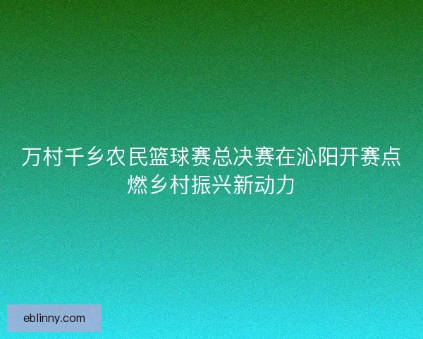 万村千乡农民篮球赛总决赛在沁阳开赛点燃乡村振兴新动力 万村千乡农民篮球赛总决赛在沁阳开赛点燃乡村振兴新动力